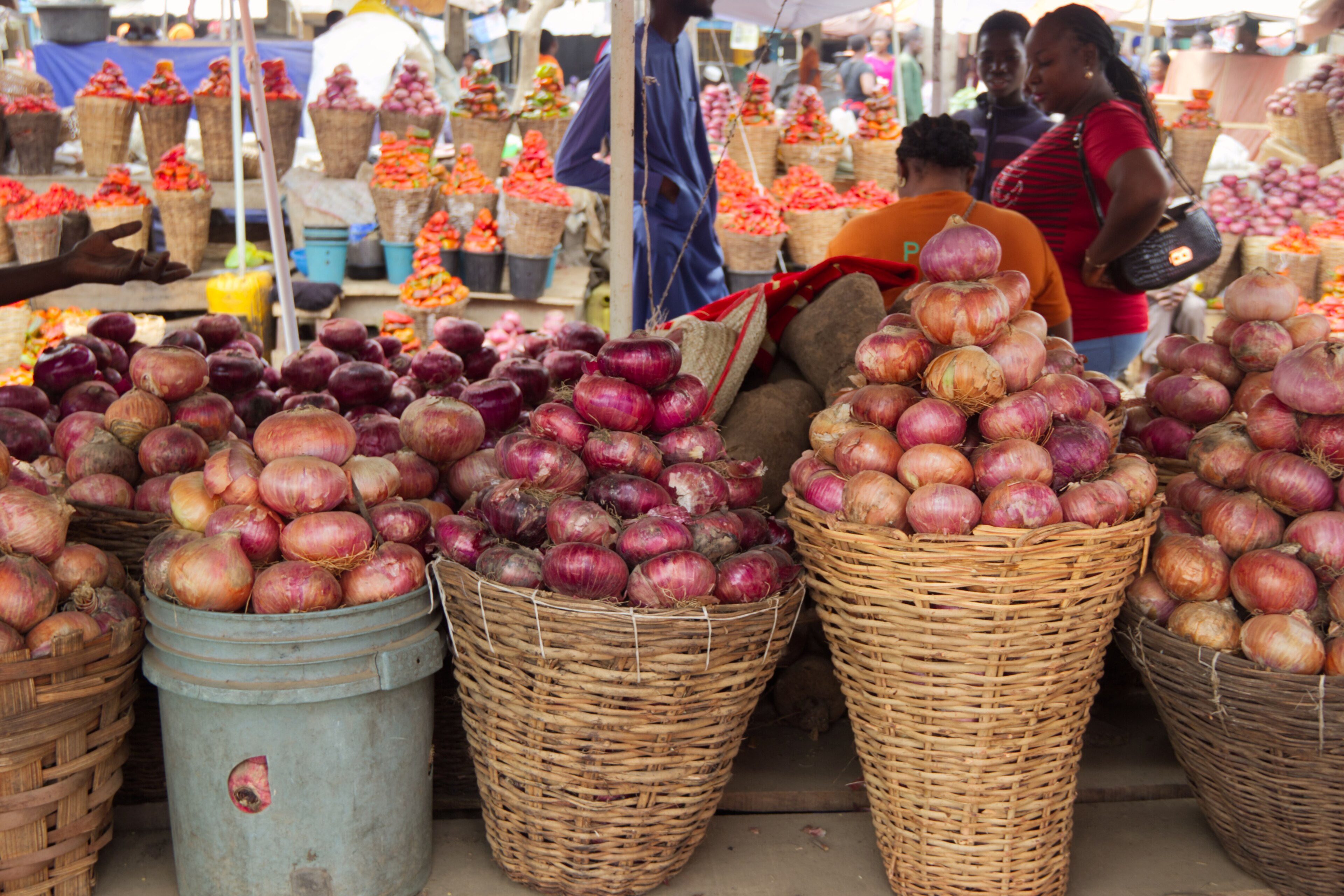 ECOWAS Frees Nigeria's Stranded Onions