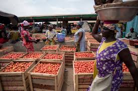 Eight Traders Killed in Burkina Faso. Now Ghana Is Racing to Grow Its Own Tomatoes — and End a GHS 5.7 Billion Annual Loss.