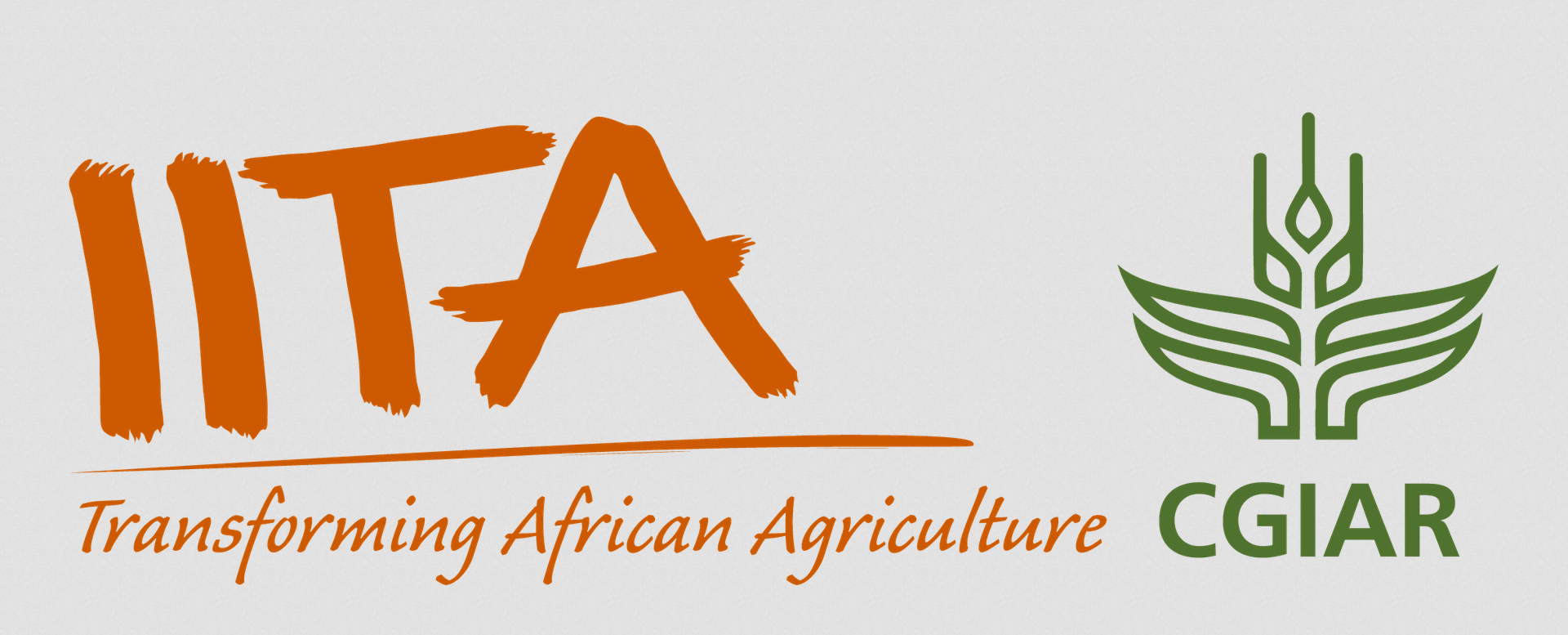 Nigeria Opens Farmland to Young Agripreneurs