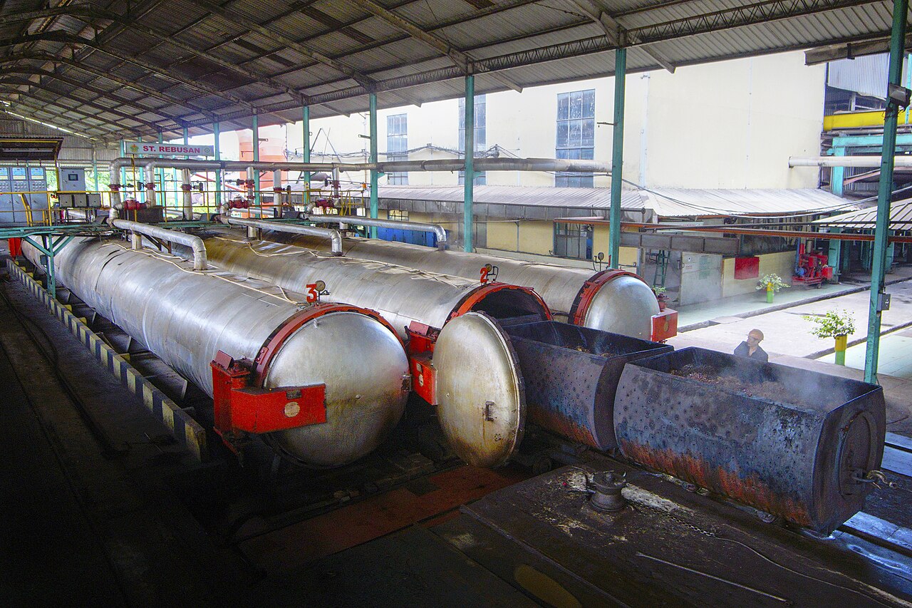 Palm Oil Giants Double Down at Home