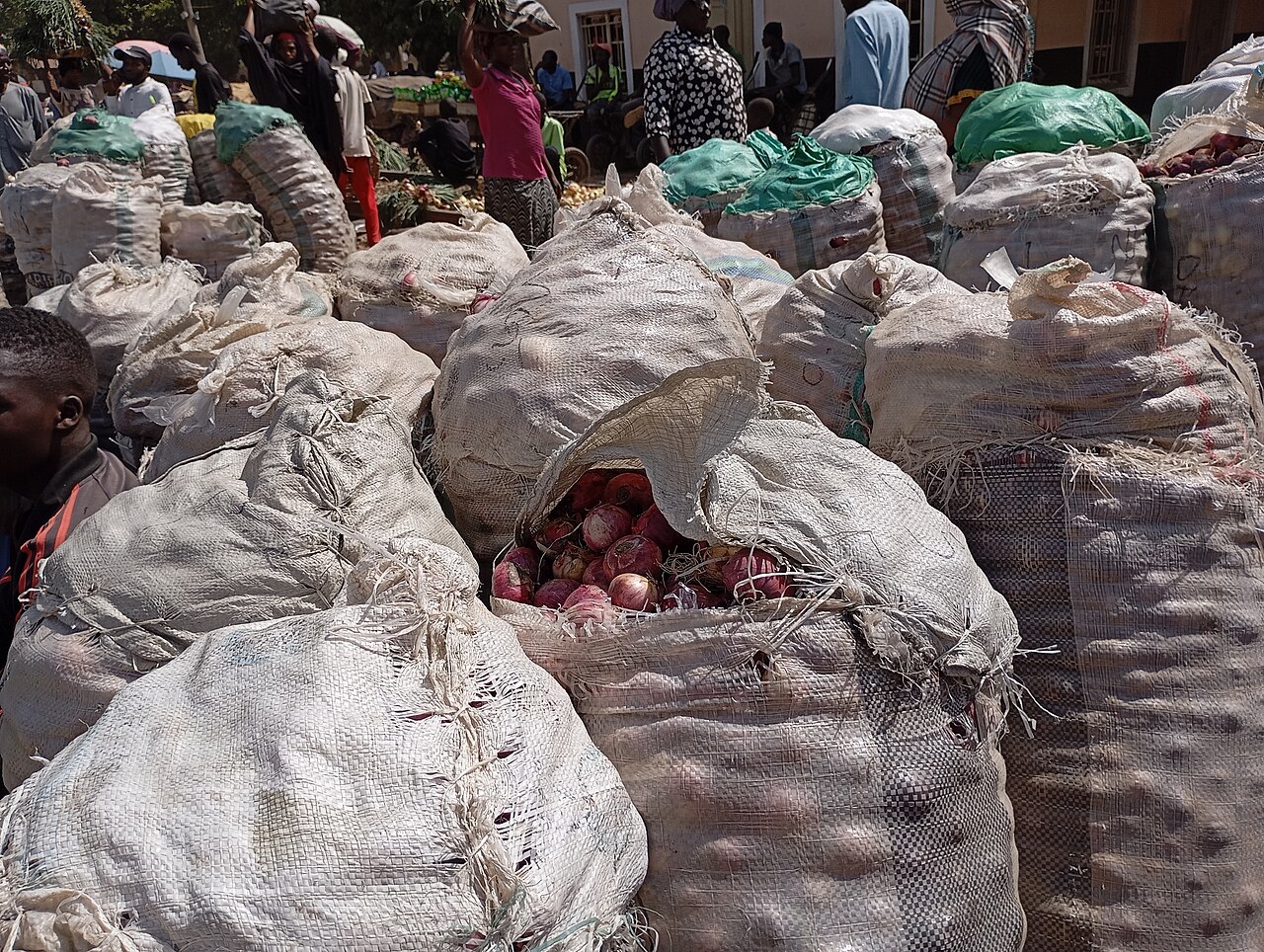 Onion Bag Triples to ₦250,000 in Lagos