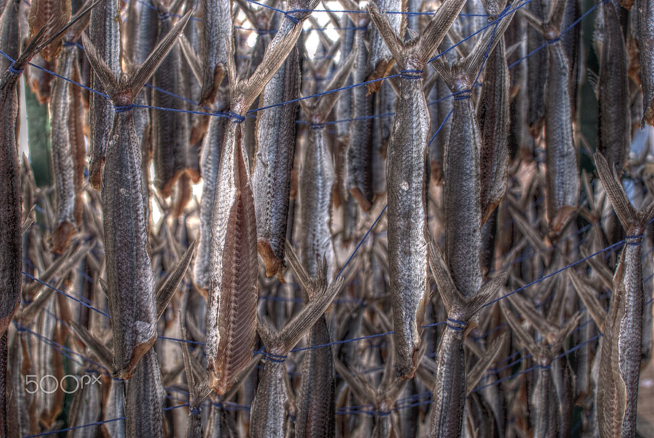 Fish Import Bill Falls 14.8%