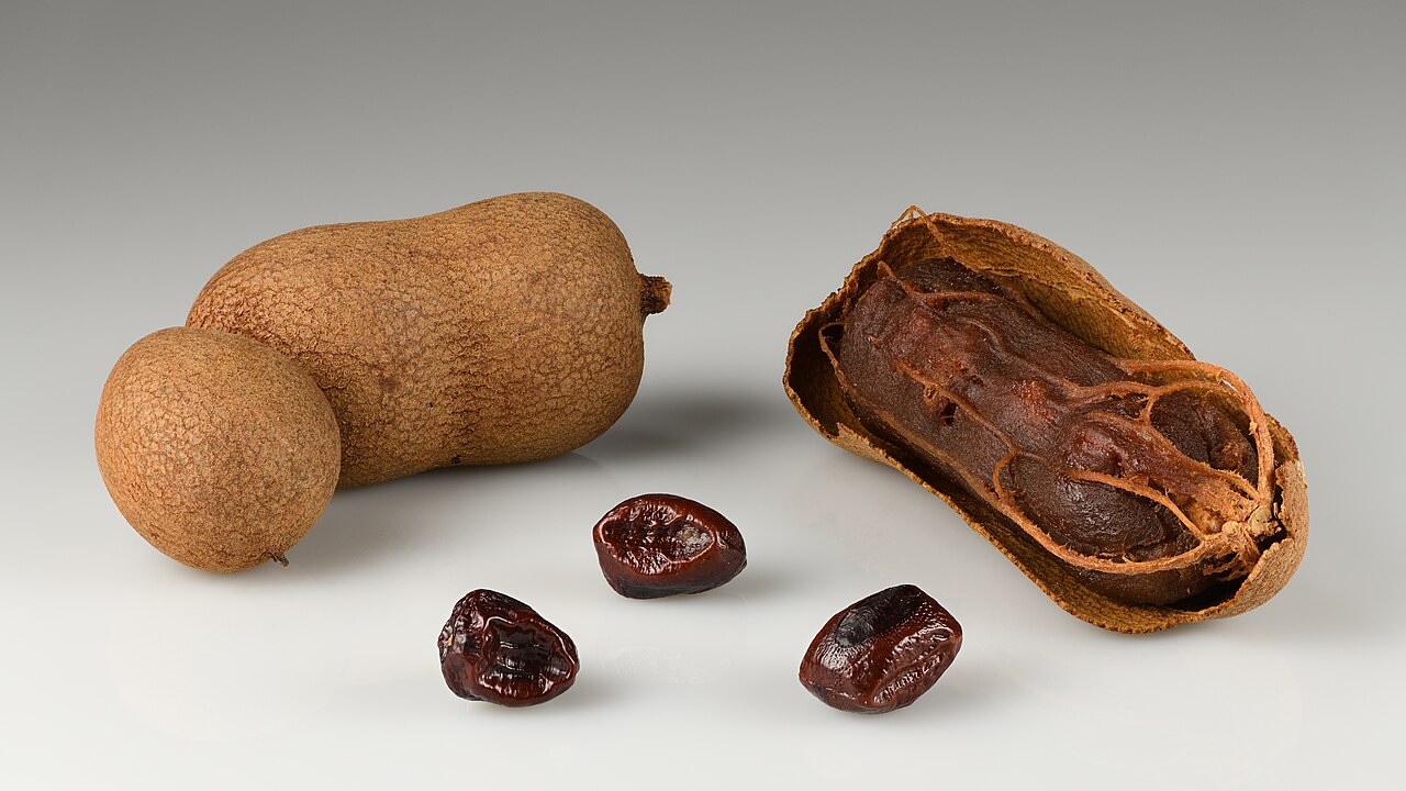 Tamarind Grows Wild, Earns Little