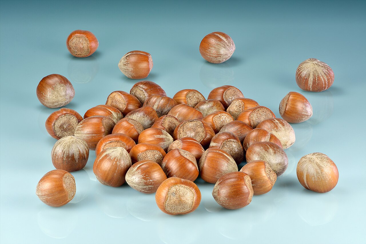 Hazelnuts Rebound From a Frost Shock