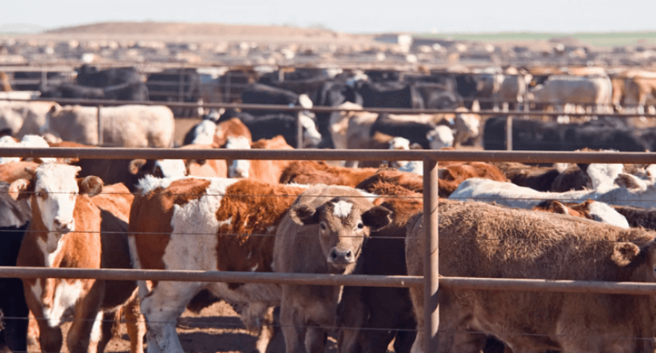Nigeria Joins a Continental Livestock Pact