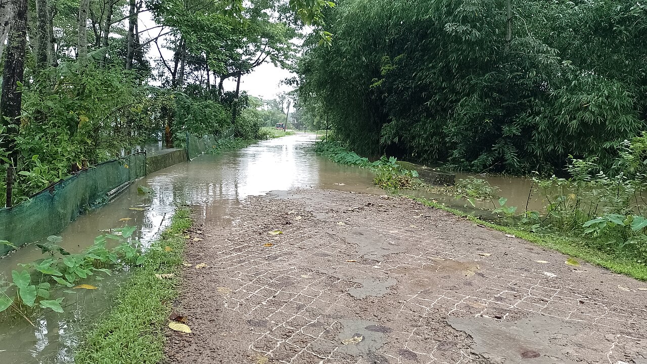 Floods Wash Away Farms in Enugu