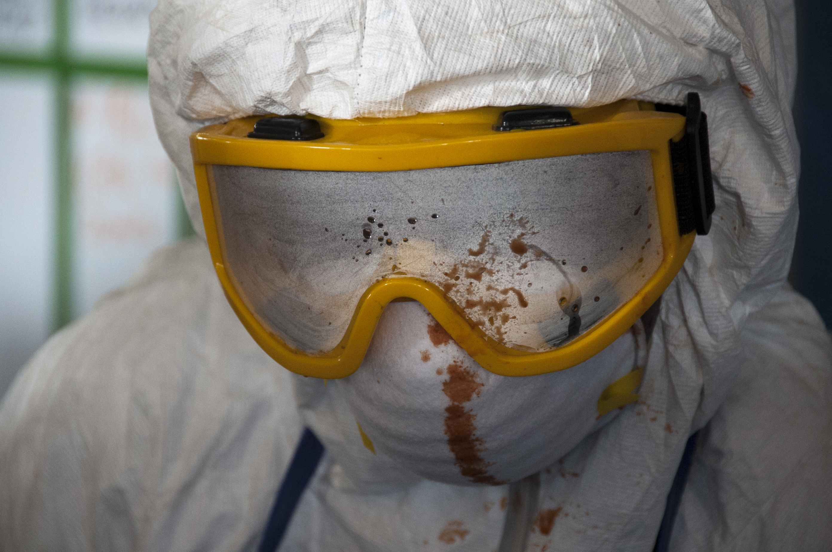 Tomato Ebola Returns: Tuta Absoluta Outbreak Spreads Across Kano Farms as Basket Prices Climb Toward ₦70,000