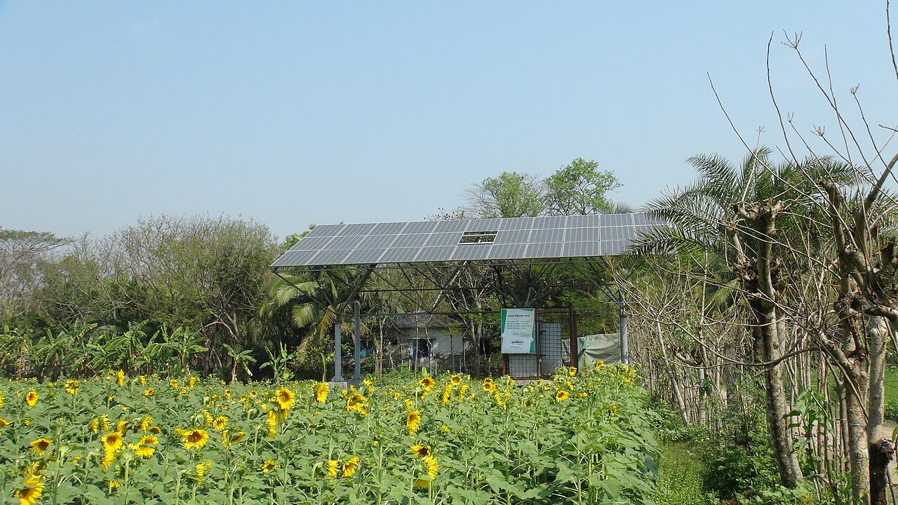 Farmers Swap Diesel for Sunlight