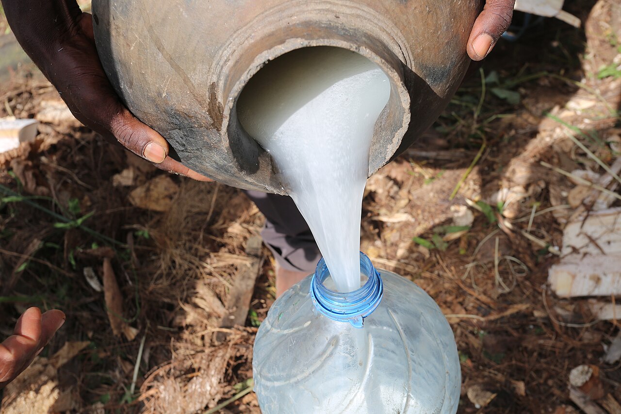 Nigeria's Palm Wine Skips the Bottle