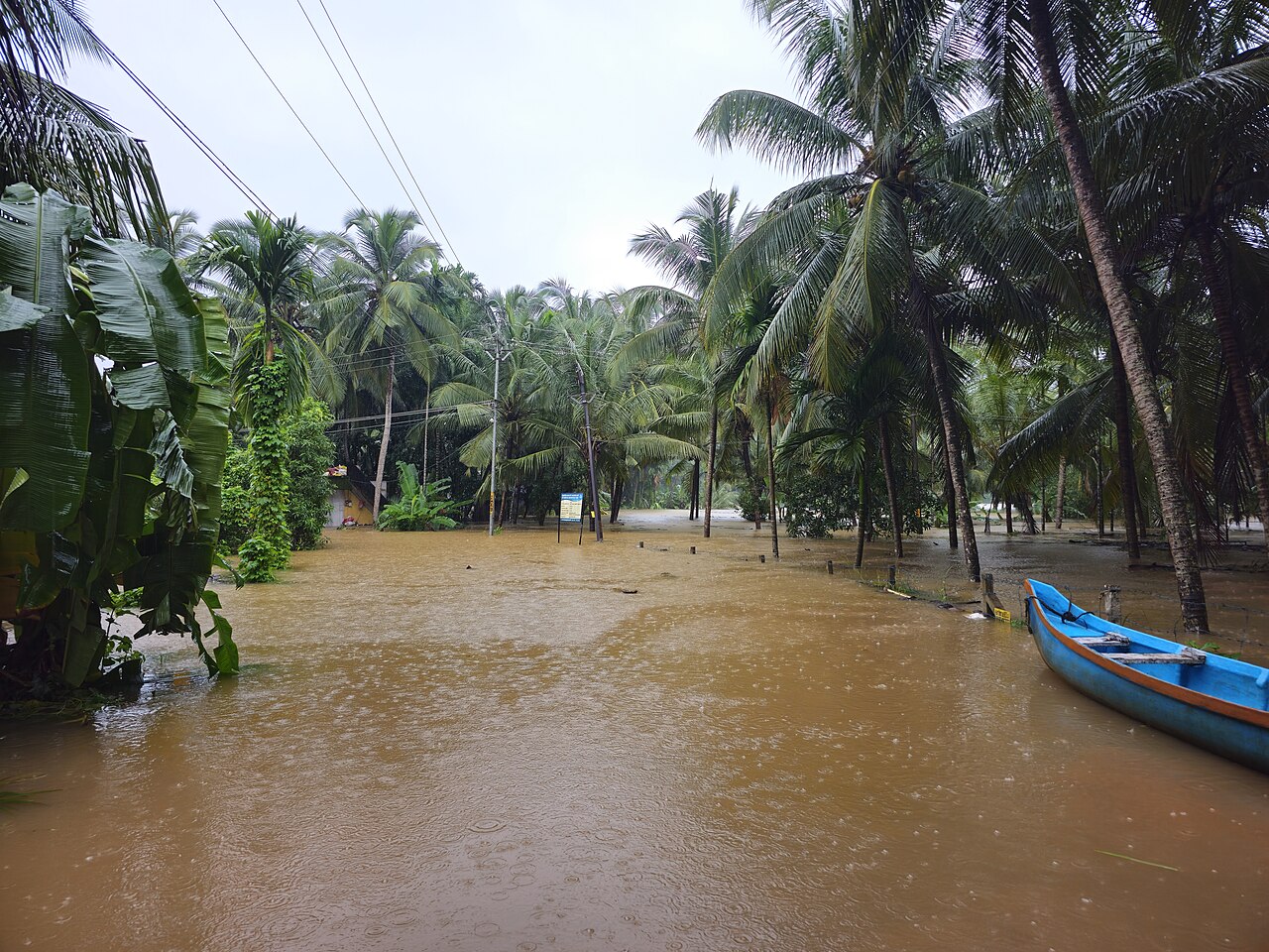 NiMet's 2026 Forecast Warns Farmers of Dry Spells, a Severe August Break and Flood Risk