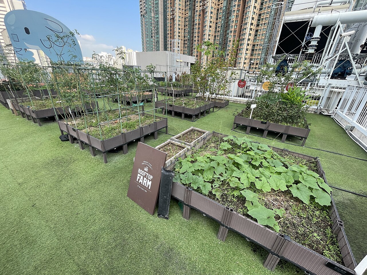 Farming Climbs Lagos Rooftops