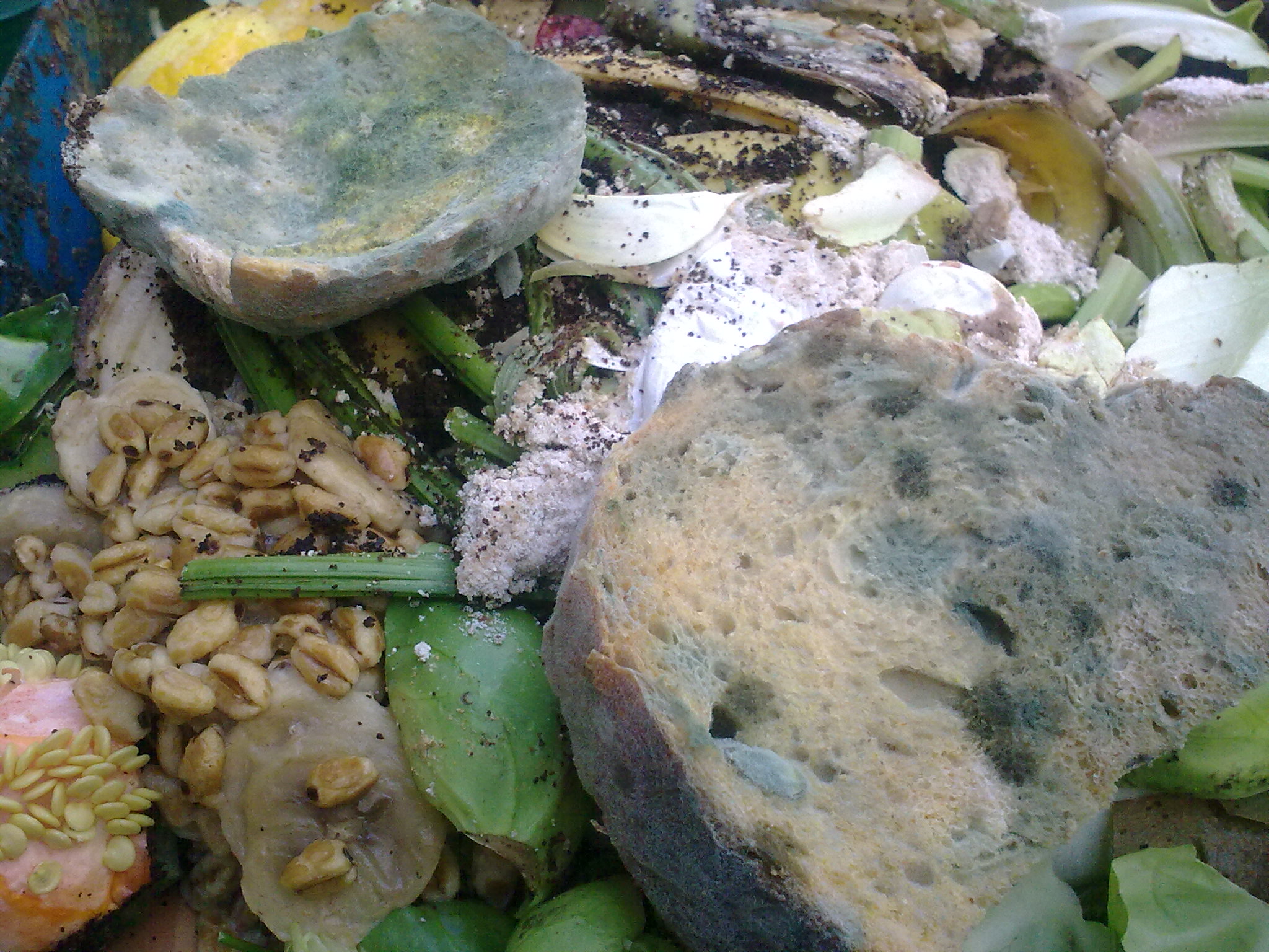 Nigeria Loses ₦5 Trillion to Food Waste Annually as Households Spend 70% of Income on Food, Report Finds