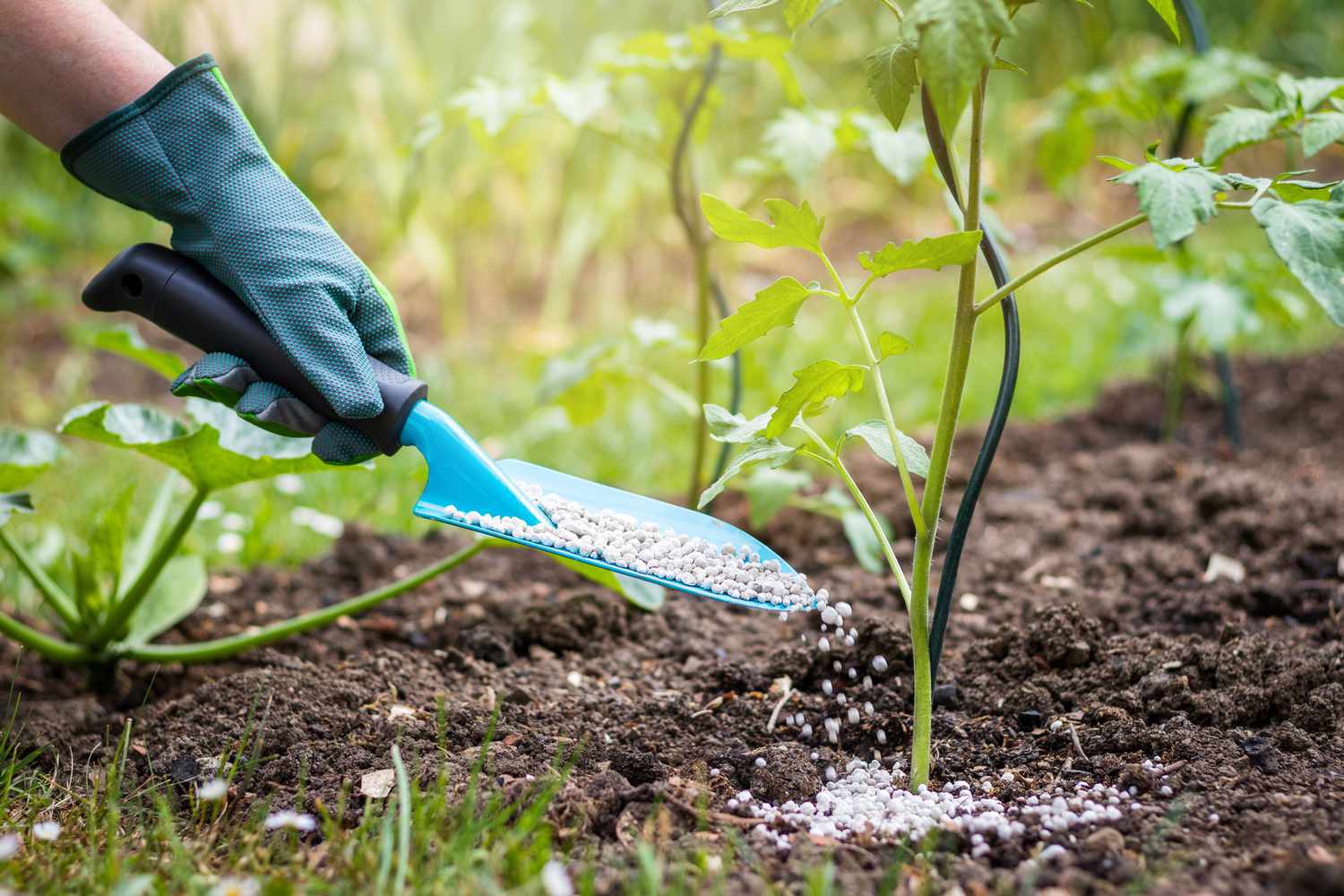 A Fertiliser Guide, 14 Years Overdue