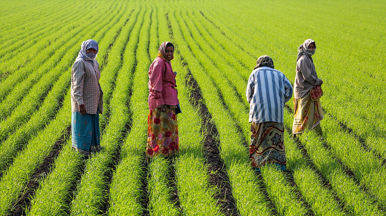 Nigeria Backs Three Million Women Farmers