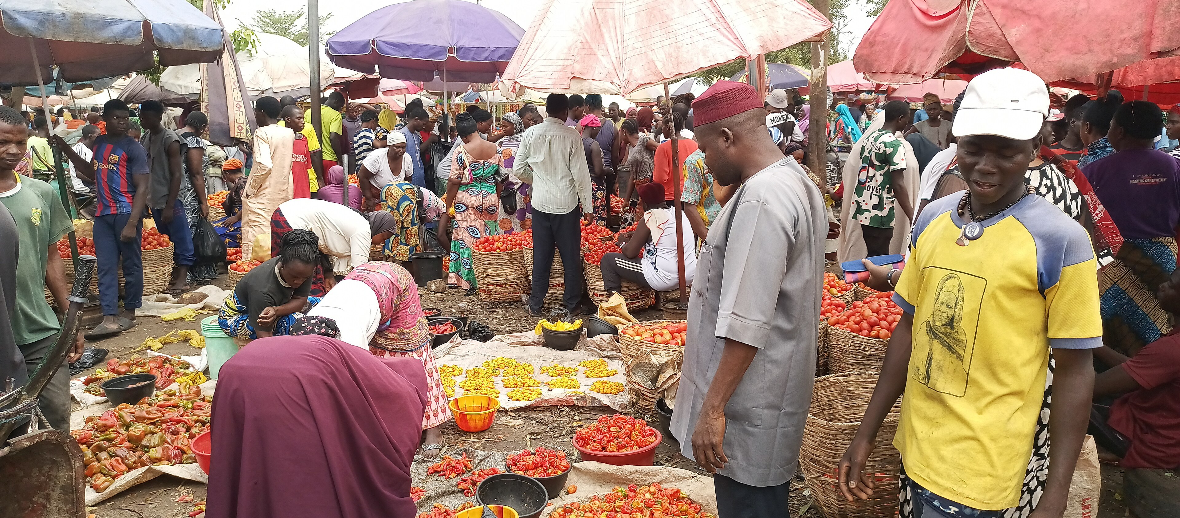 Tomatoes Rise 50 Percent at Ajah to N6,000 a Paint Bucket as Soup-Pot Staples Firm Into March