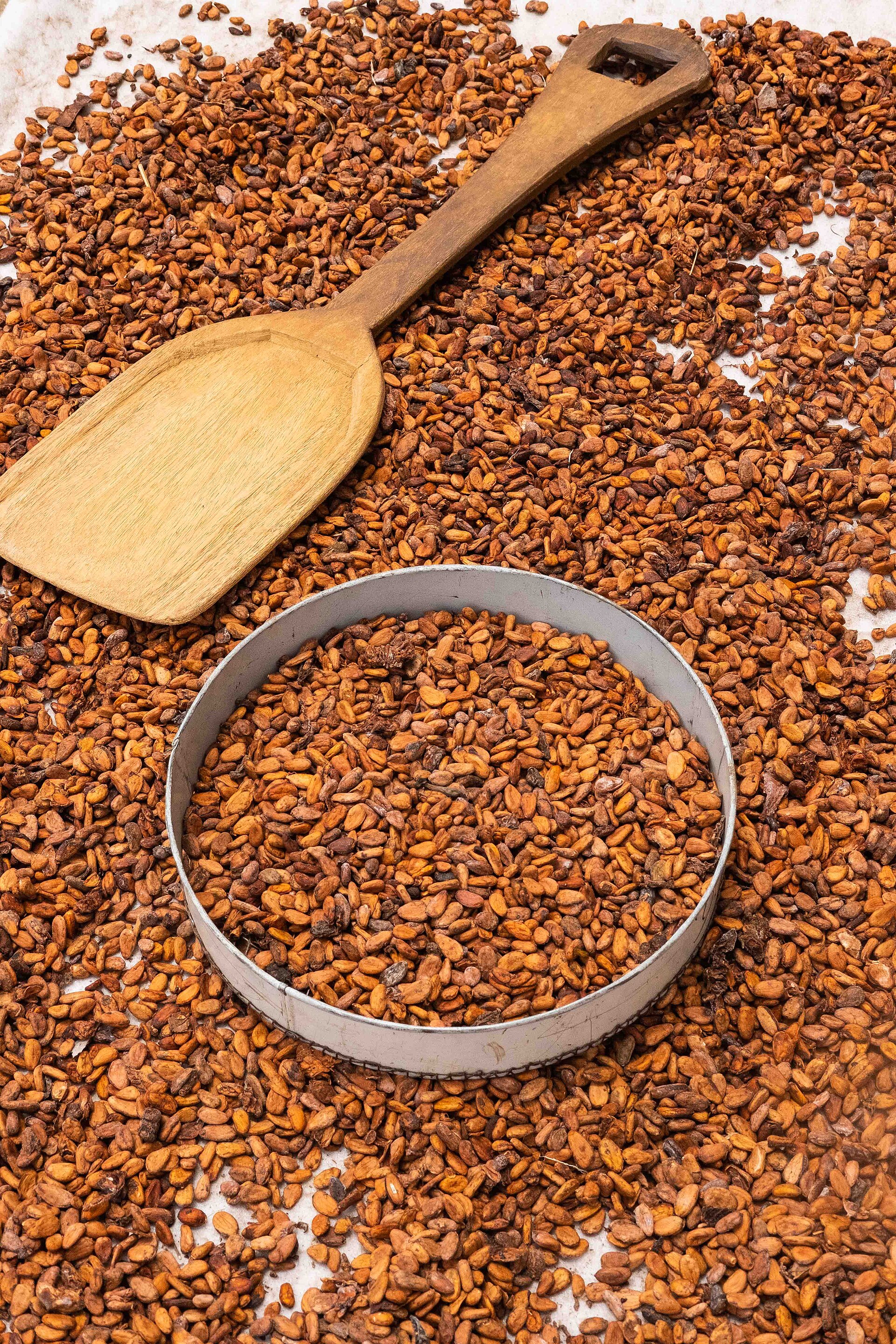 Cocoa Leads Nigeria's ₦12.36 Trillion Non-Oil Export Surge