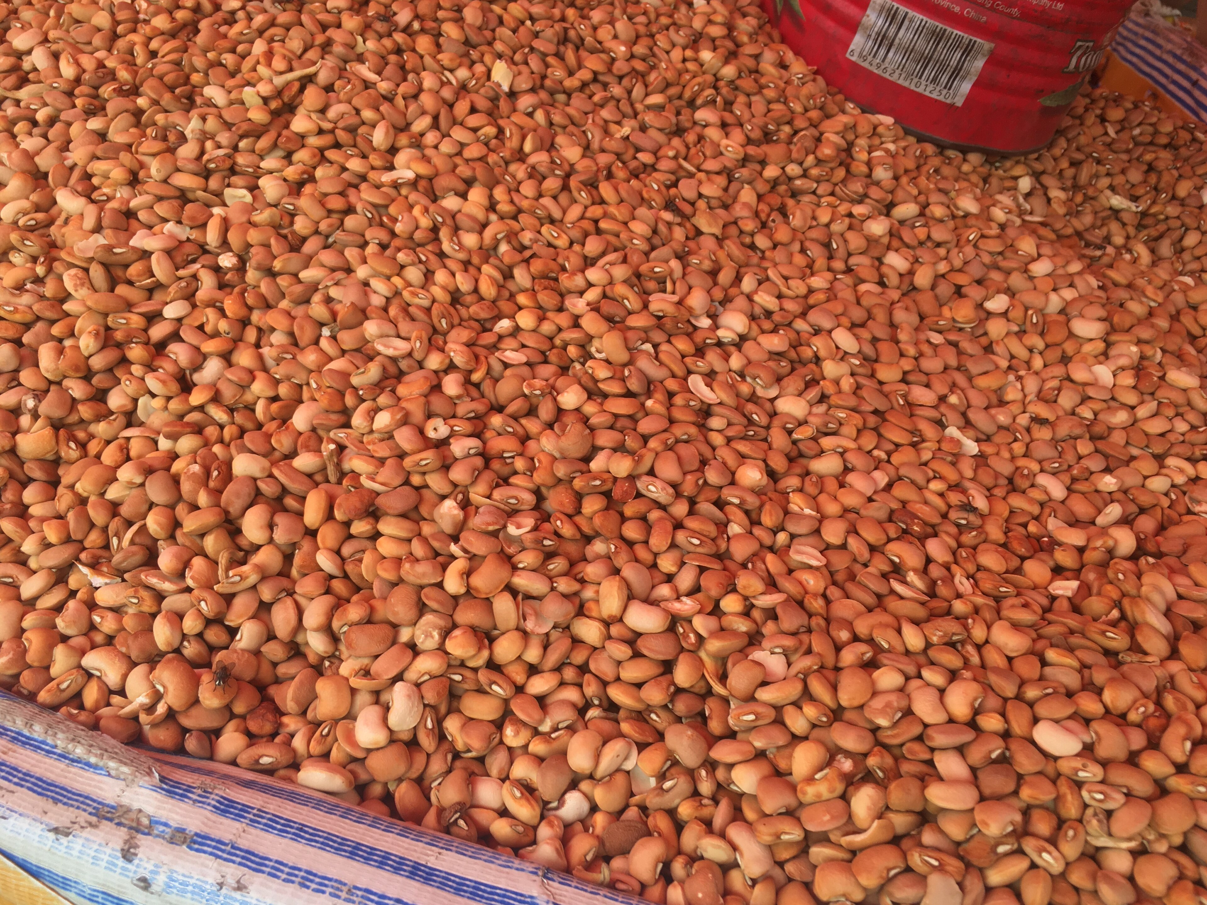 Lekki-Jakande Beans Climb 33.3% to N73,333 as Drum Beans Debut at N128,333