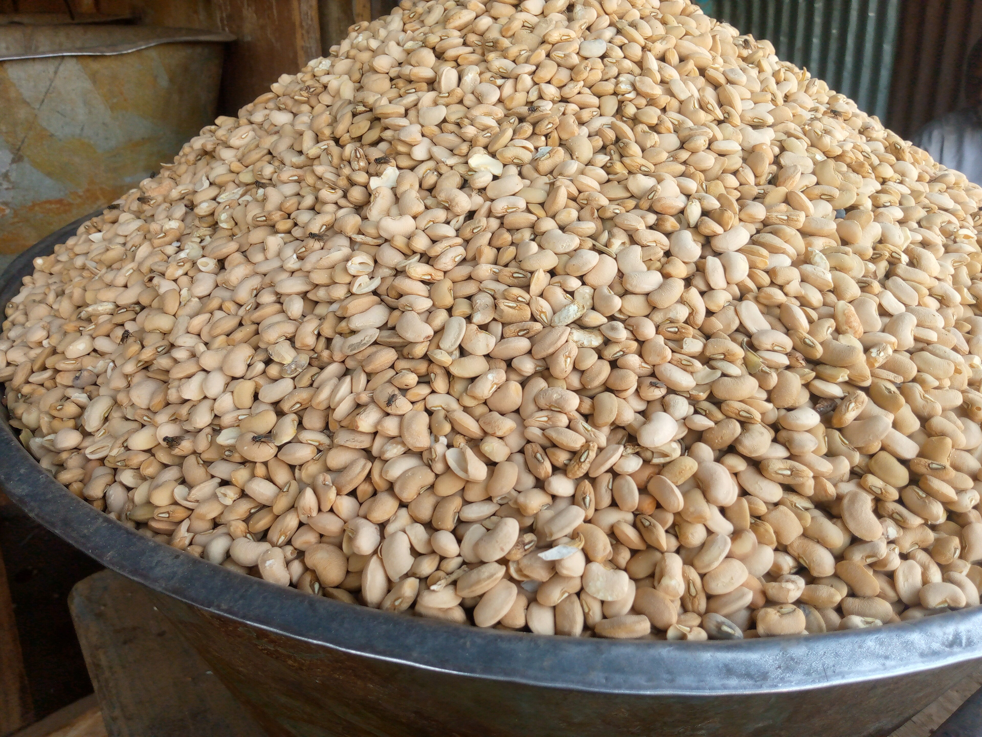 Ajah Market Oloyin Beans Settle at N70,000 a Bag by June, Off the February Peak of N80,000