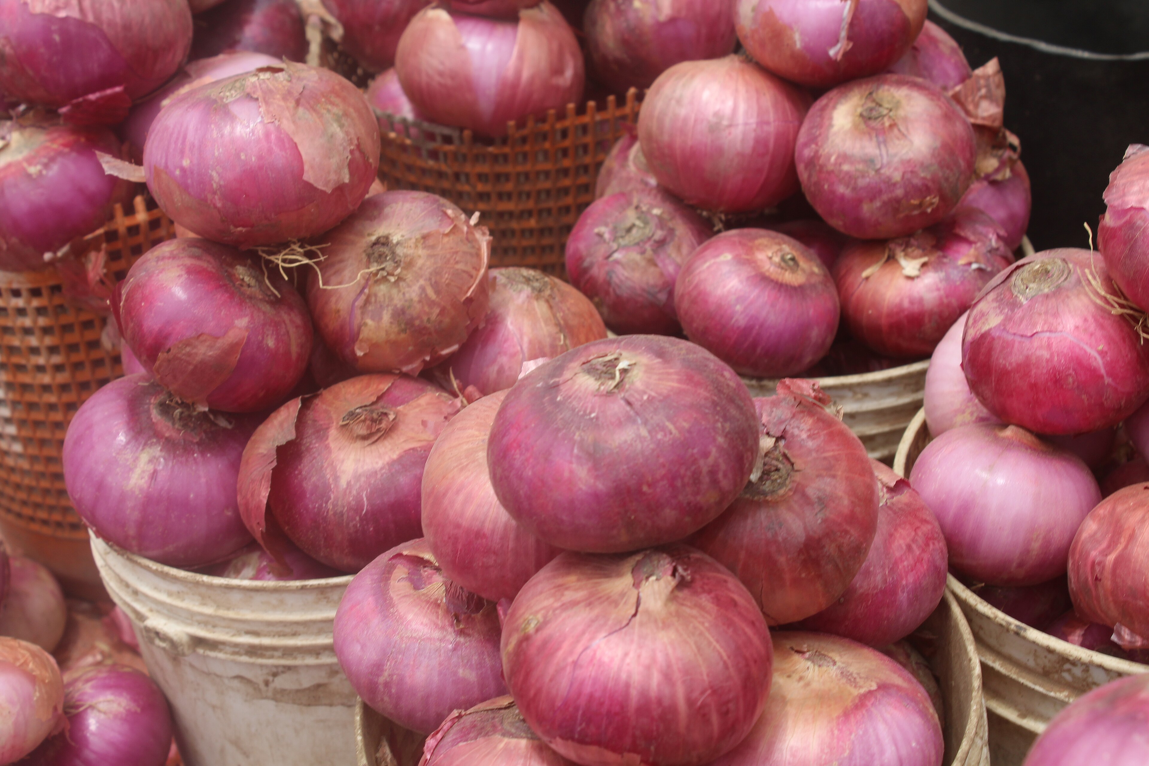 Ajah Market Onions Jump 85.7% to N6,500 a Paint as Tomatoes Climb to N6,000