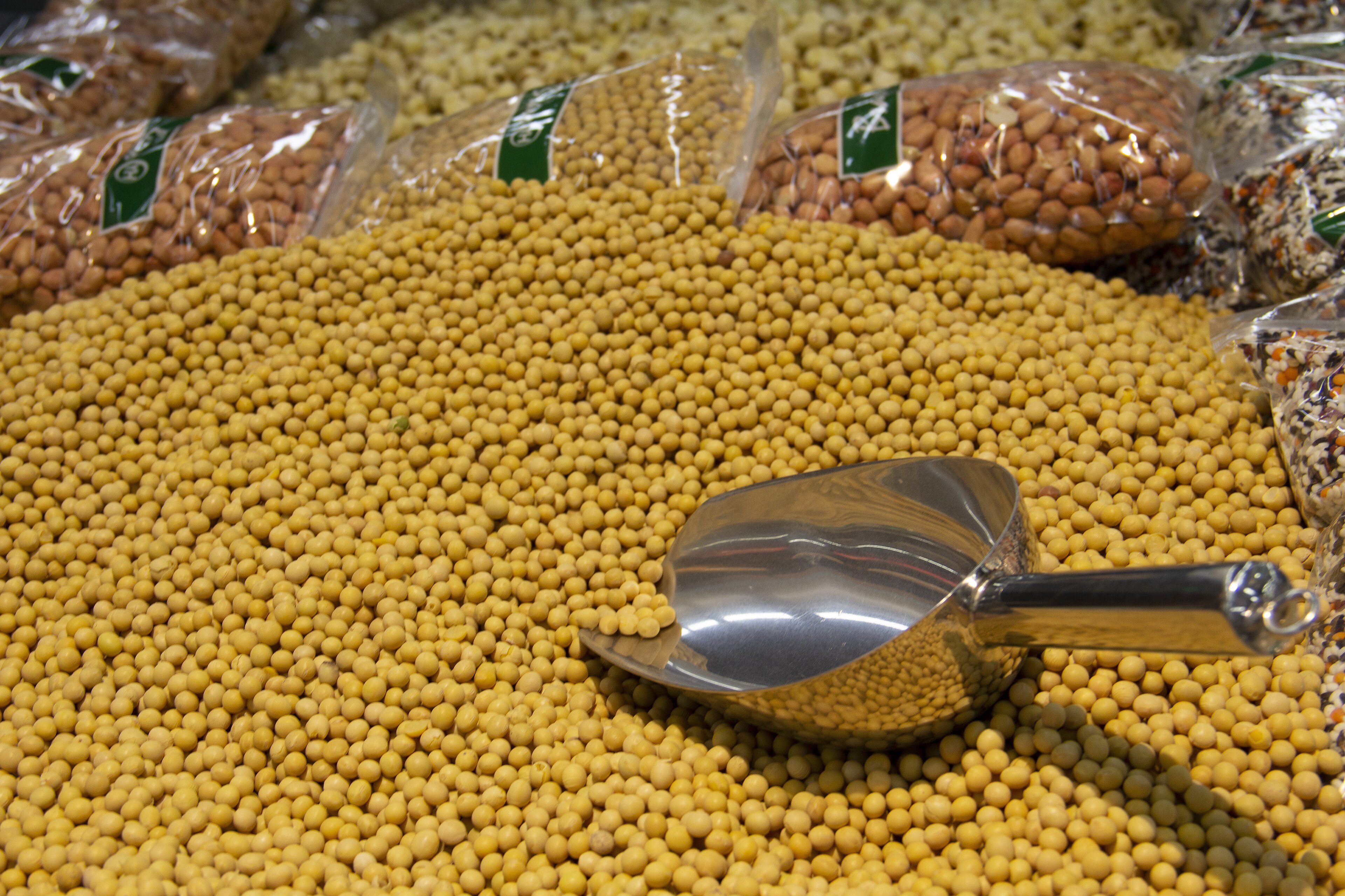 Soybean Demand Strengthens Global Trade