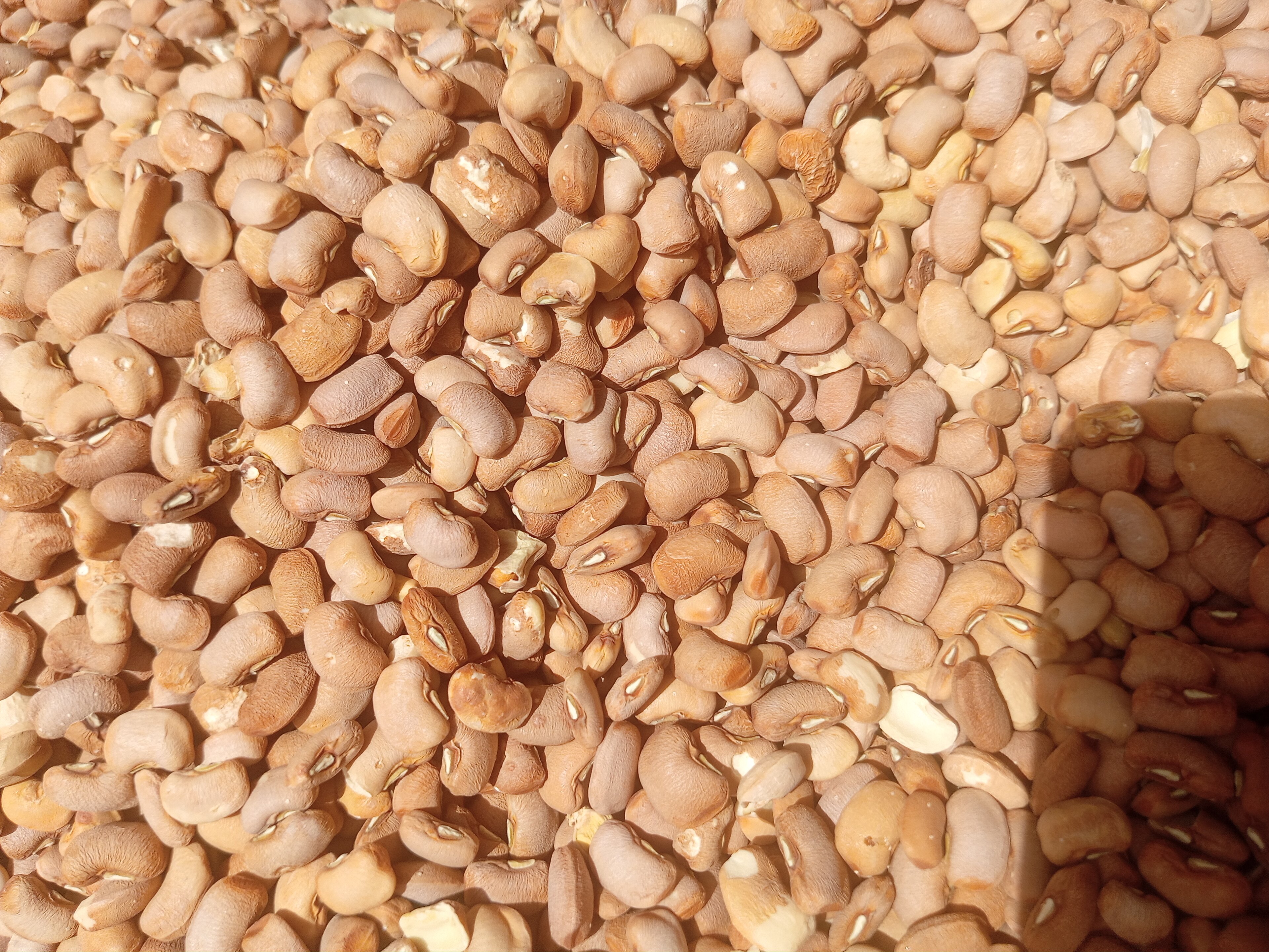 Ajah Tops the Lagos Table: ₦135,000 Beans and ₦27,000 Garri Lead the Field