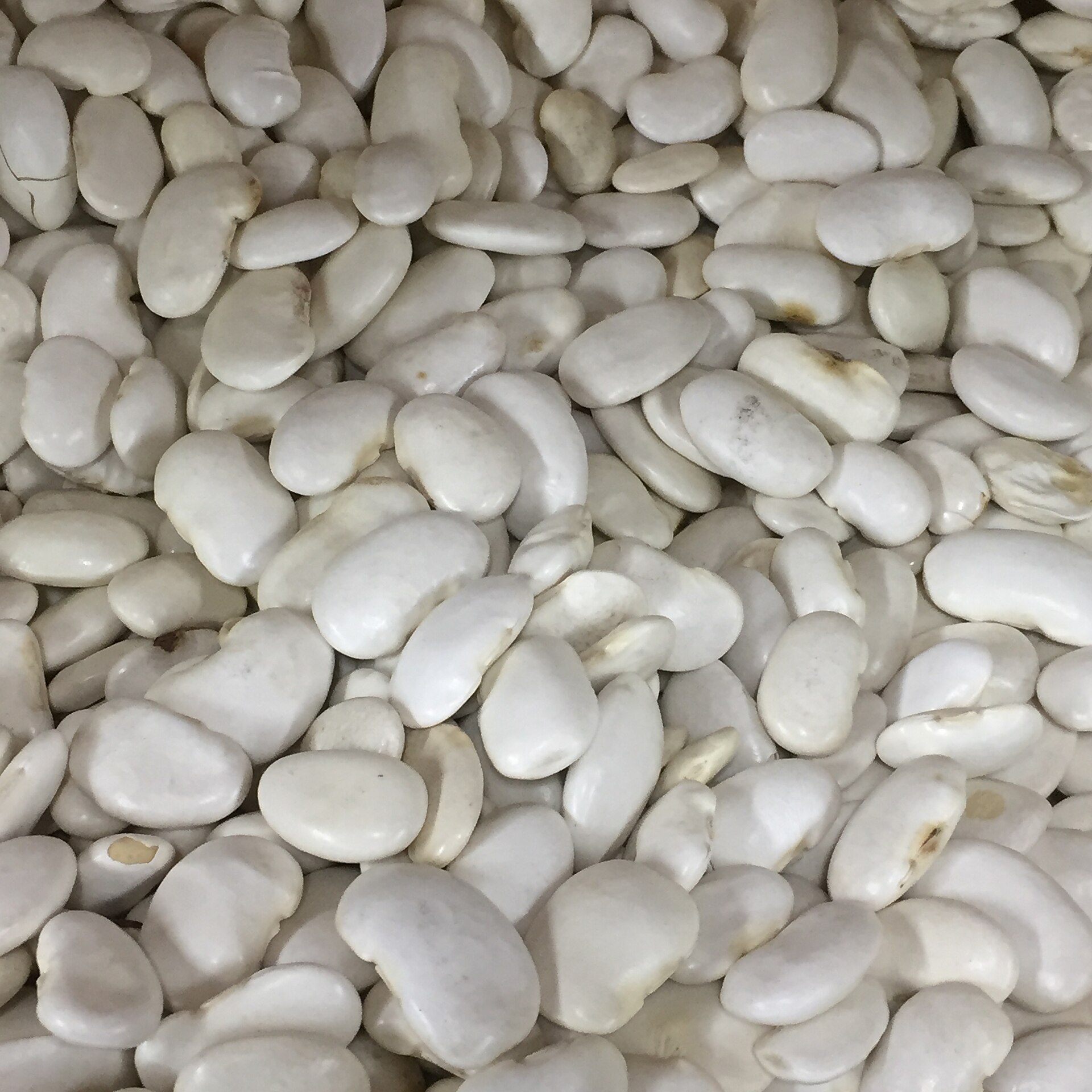 Ajah Market June Capture Adds Premium Basmati, White Beans and 25kg Packs to the Shelf