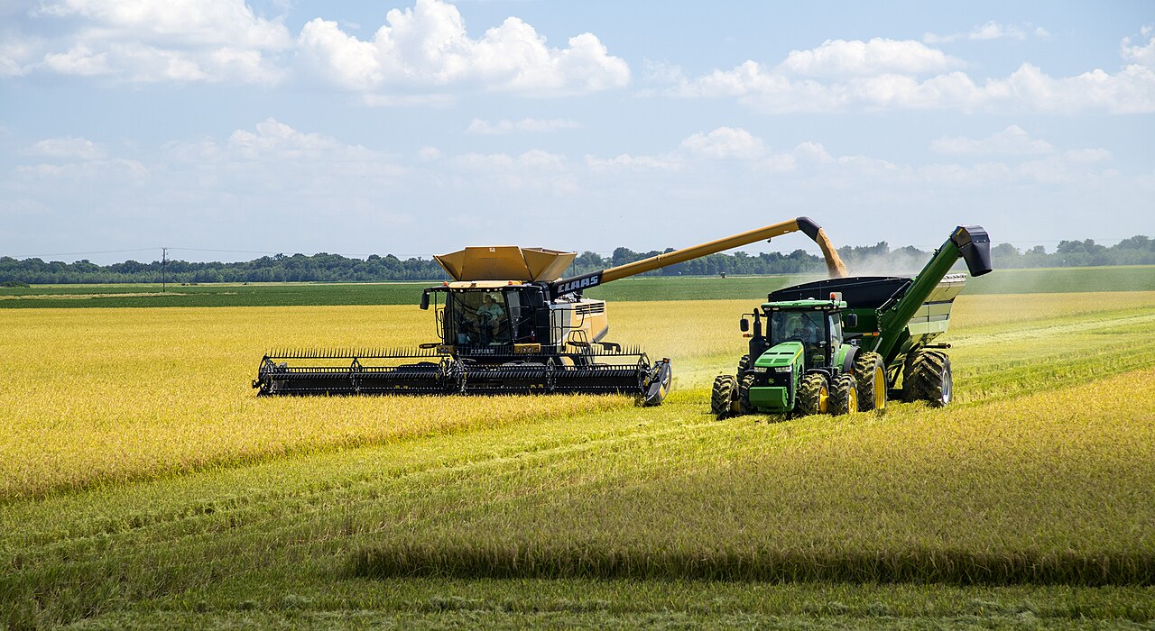 Rice Millers Warn Tariff Cuts Could Shut Local Mills