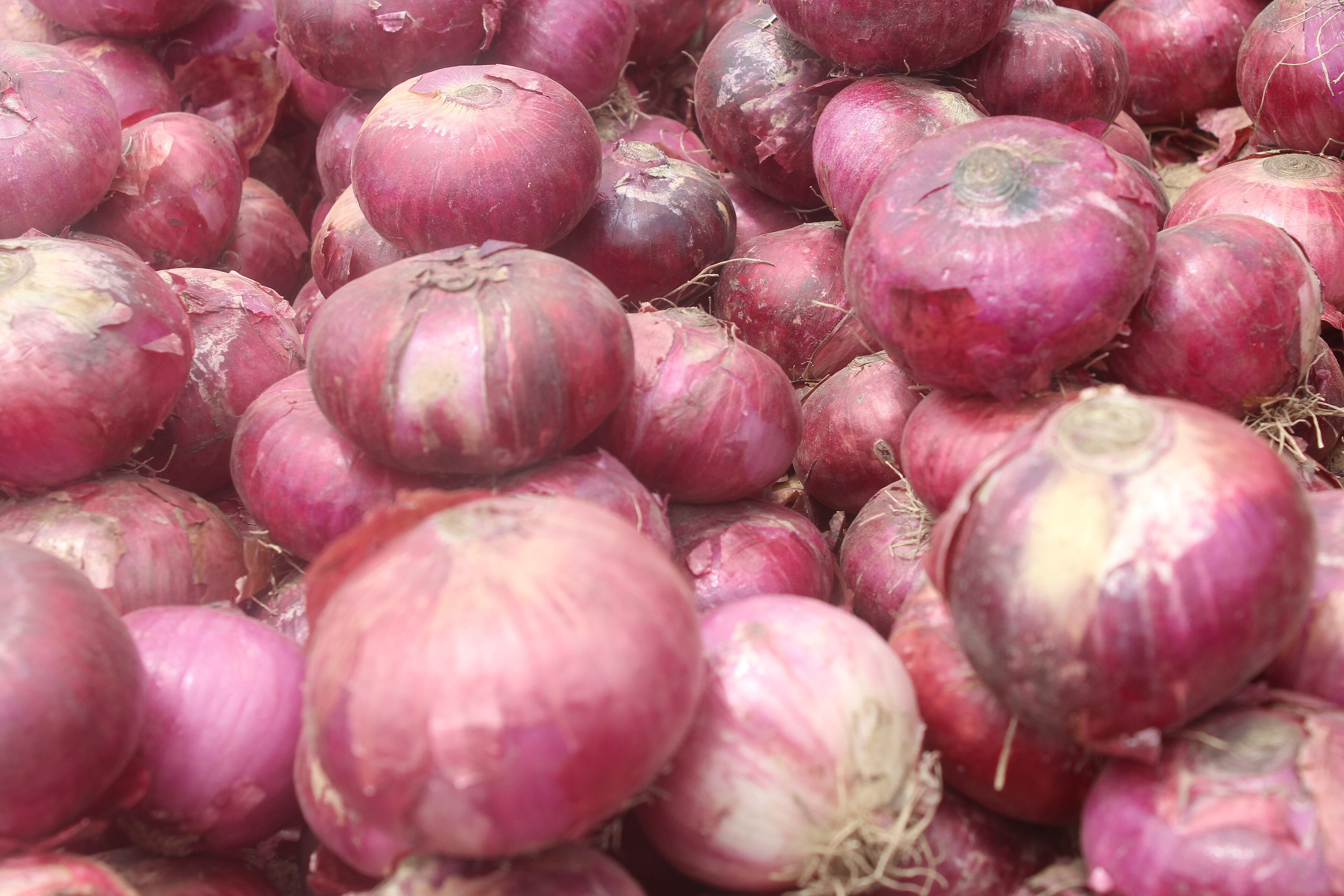Ajah Market Onions Jump 85.7% to N6,500 a Paint by March as Tomatoes Climb to N6,000