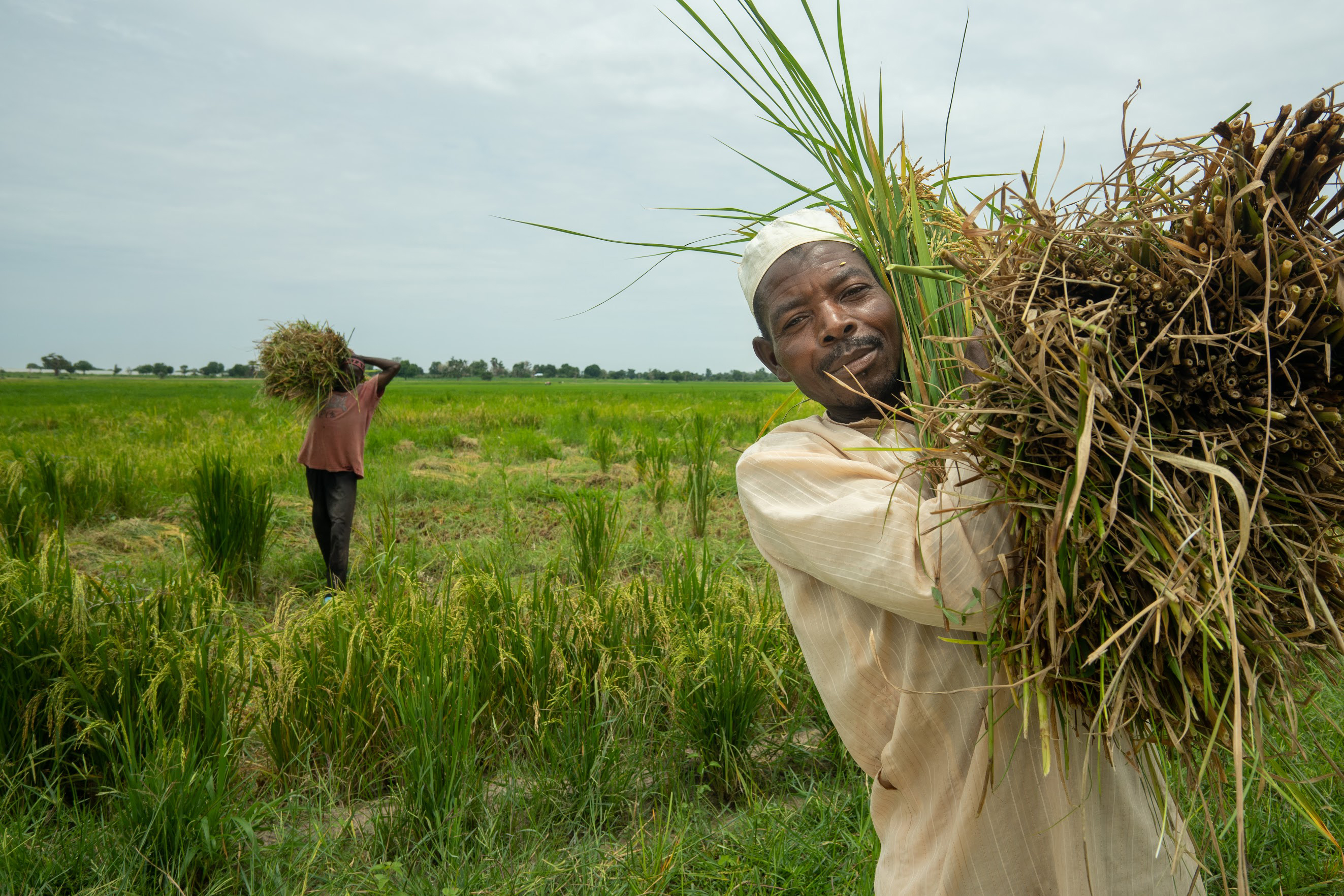 Jigawa Arms 90,000 Farmers for the Season