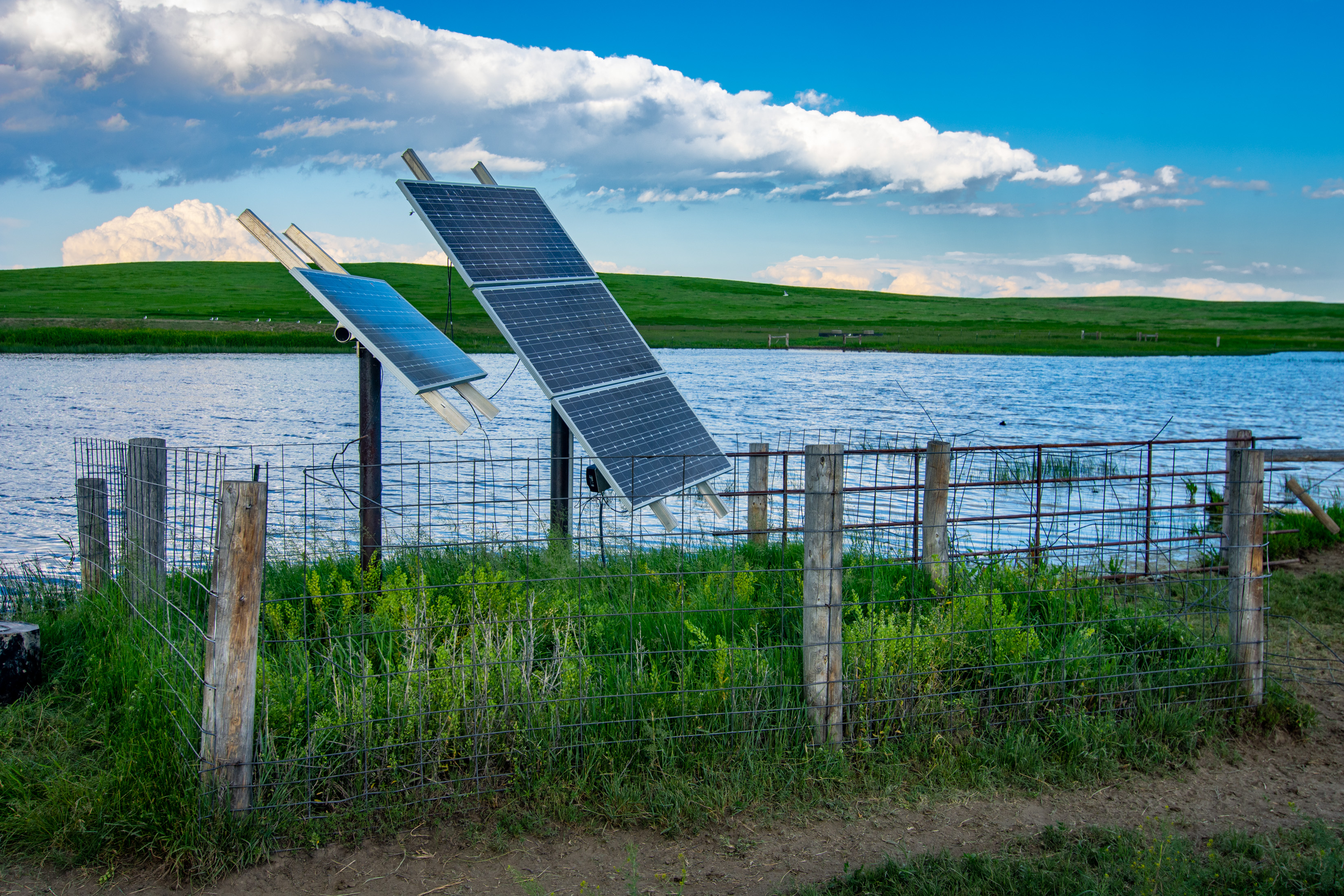 Jigawa Turns to Solar Pumps for Year-Round Farming