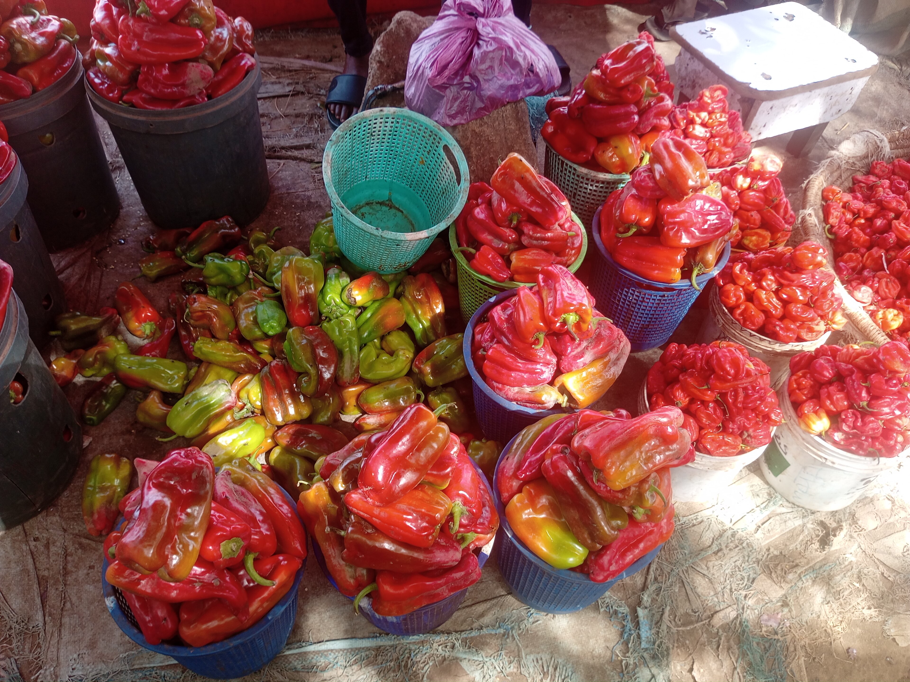 Lekki-Jakande Pepper and Tatashe Rise 33.3% to N4,000 a Paint by March