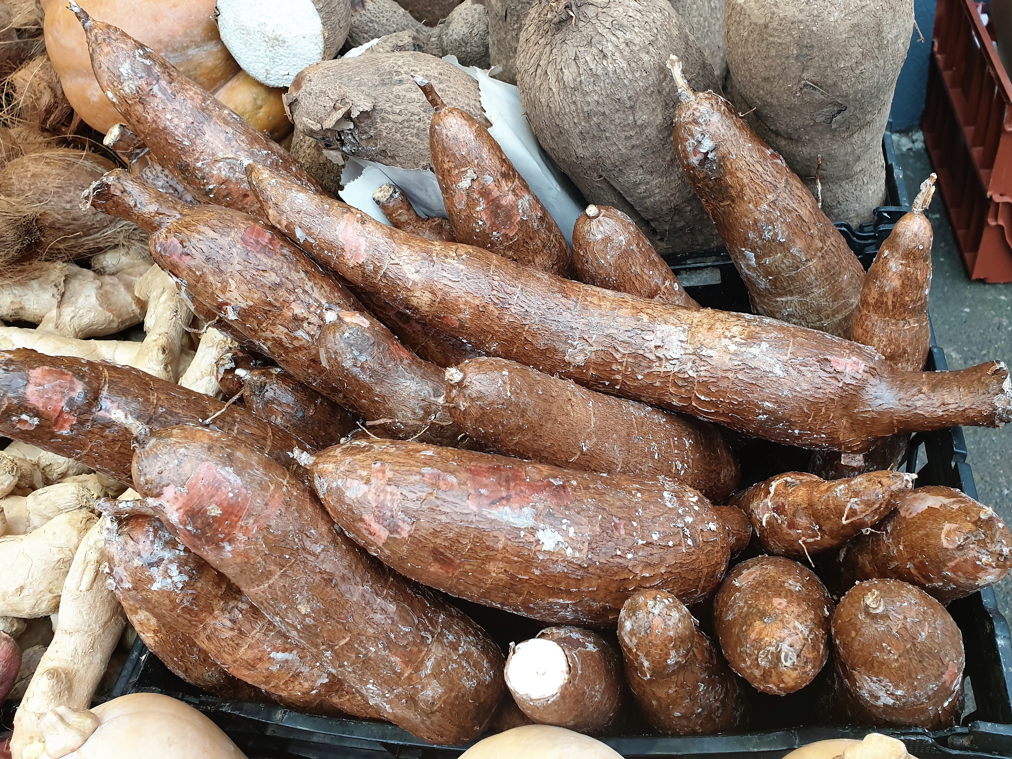 Senate Advances Three Agriculture Bills to Create National Food Reserve Agency, Rice Development Council and Cassava Coordination Body