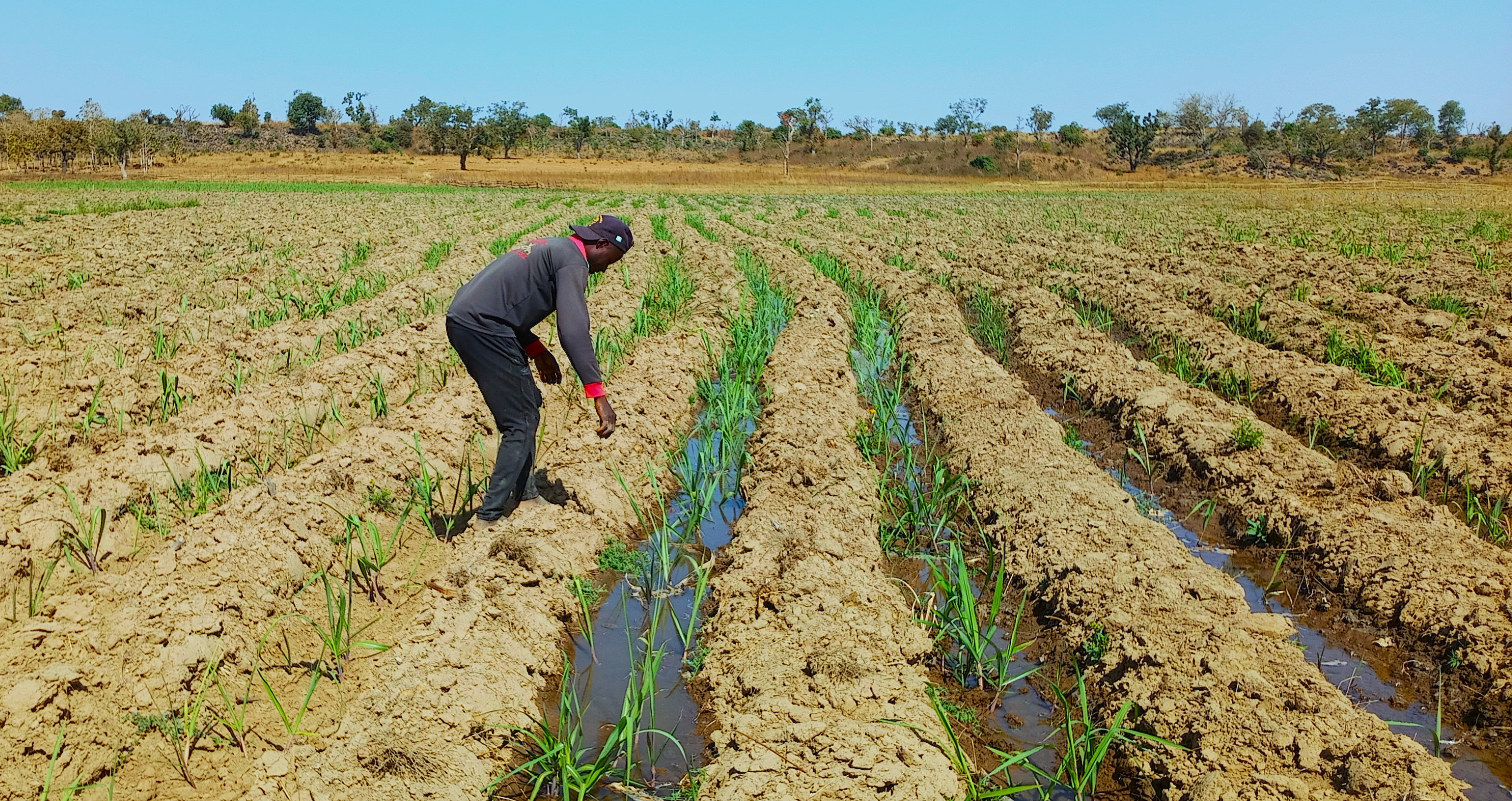 Cross River Turns Farming Into Big Business