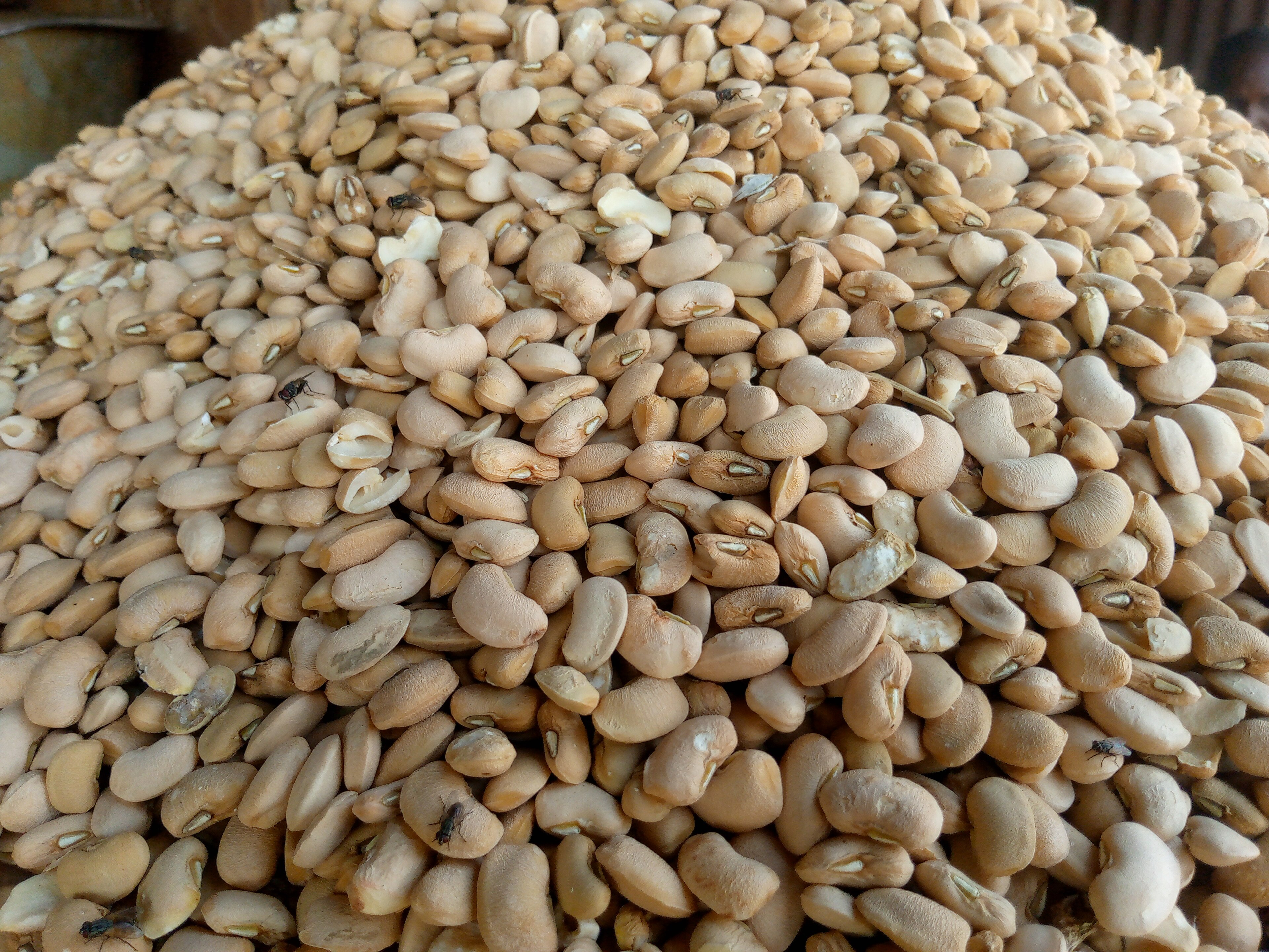Ajah Market Beans Ease to N70,000 a Bag in June After February Peak of N80,000