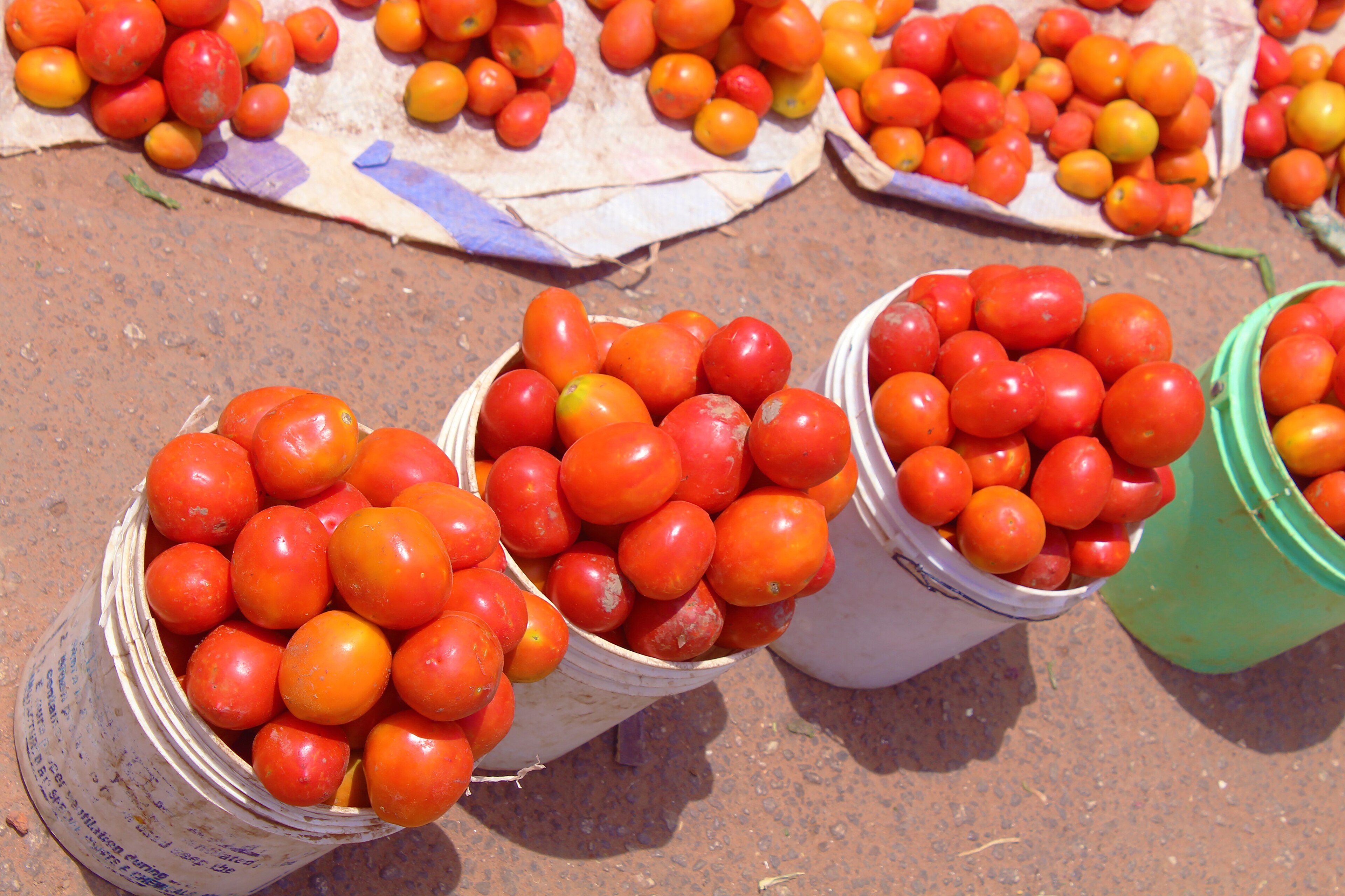 Lekki-Jakande Tatashe Rises 33.3% to N6,000 a Paint as Tomatoes Hold at N4,000