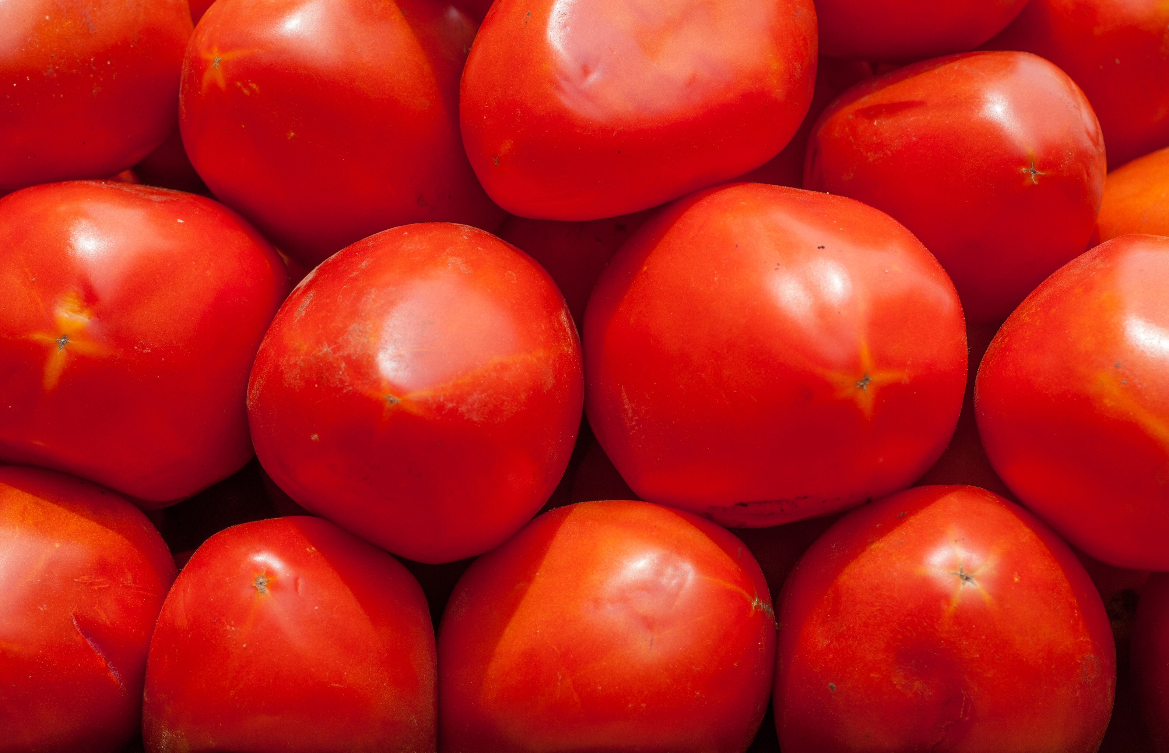 Food Inflation Slows Month-on-Month as Onions and Tomatoes Stay Costly