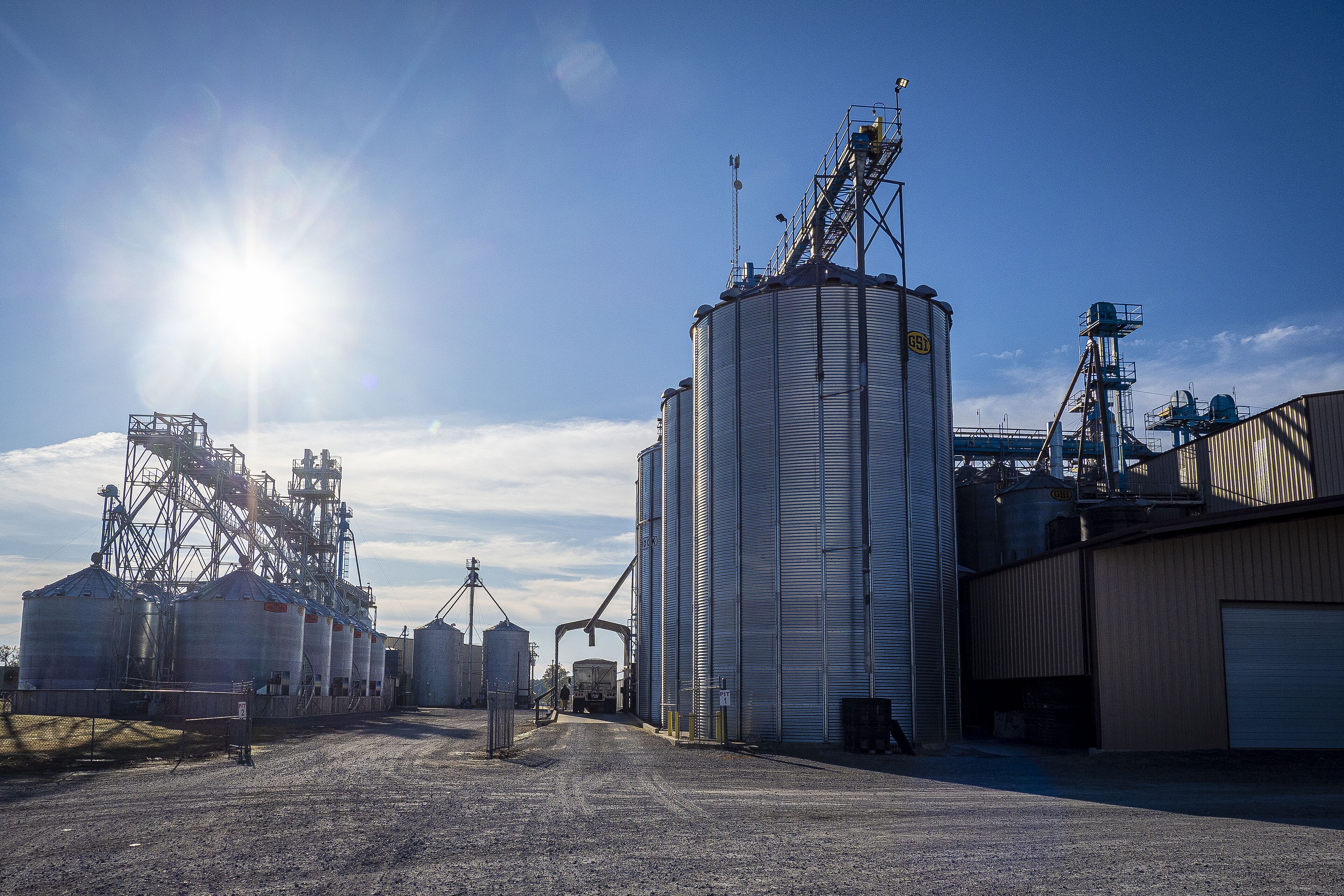 Olam Agri Opens $50 Million Soybean Crushing Plant in Kwara, Sub-Saharan Africa's Largest